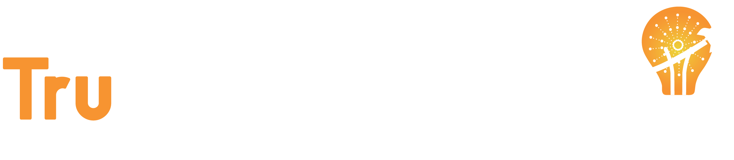 Trusity Logo